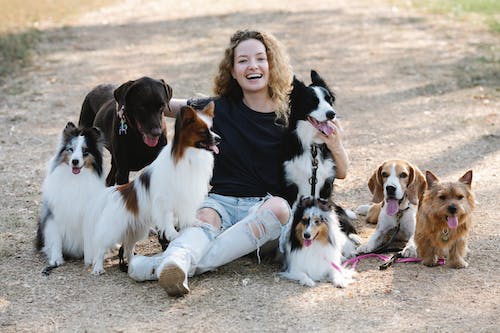 Glad woman hugging various dogs in nature