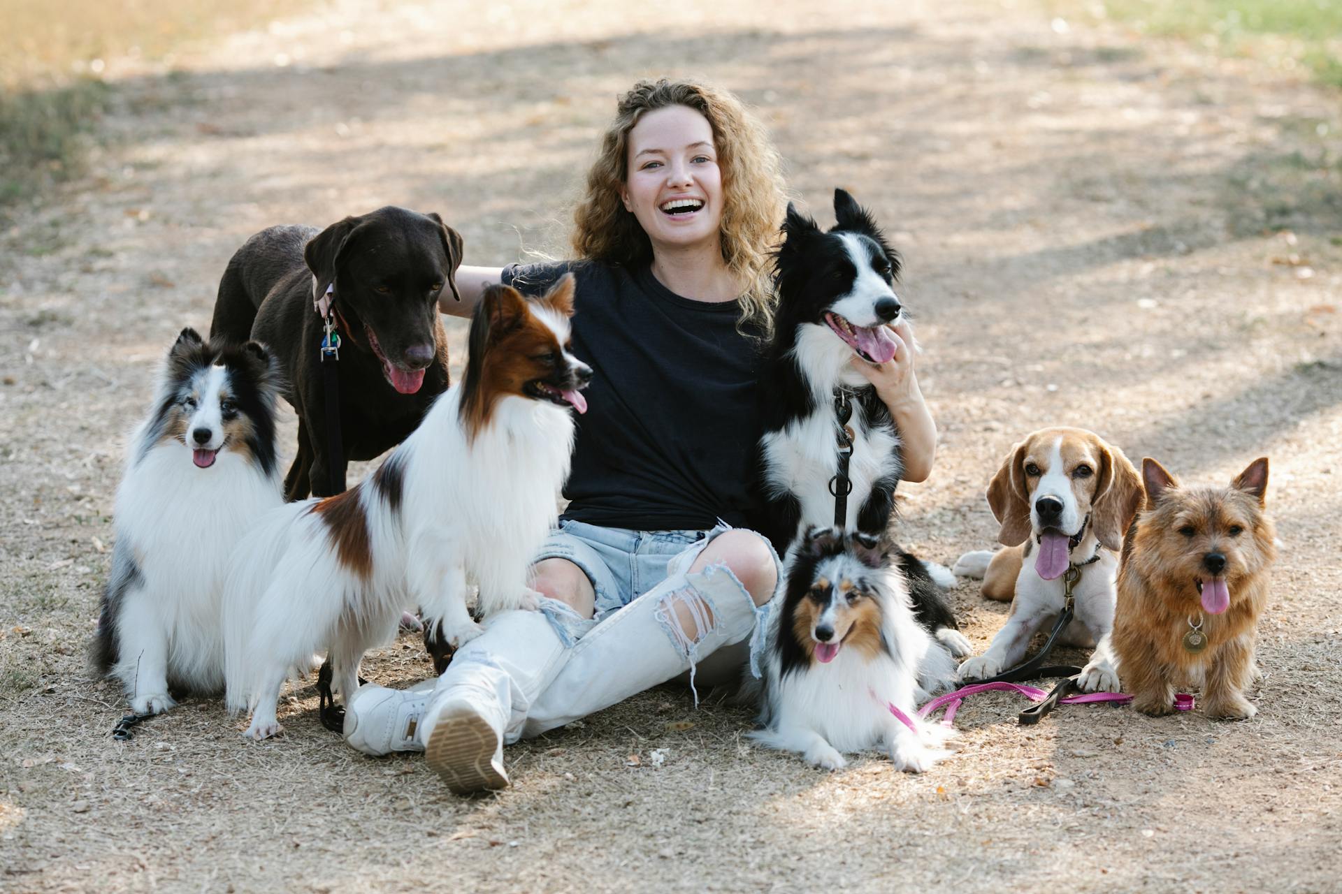 Glad woman hugging various dogs in nature