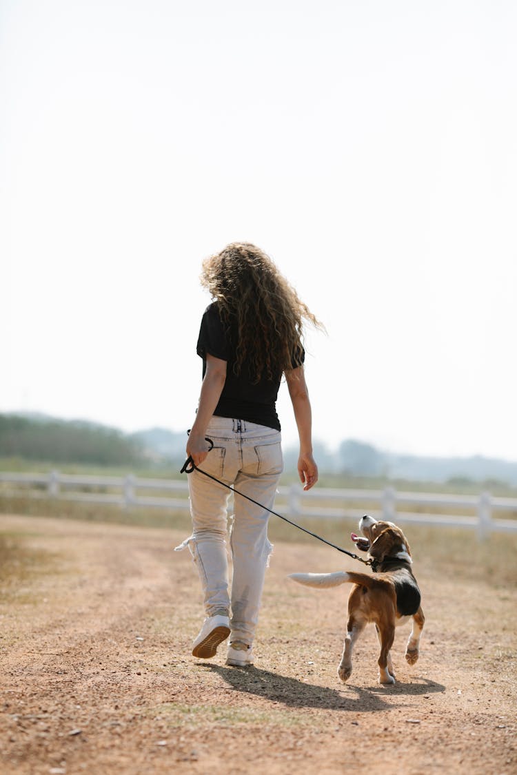 Unrecognizable Female Owner Walking With Dog In Countryside