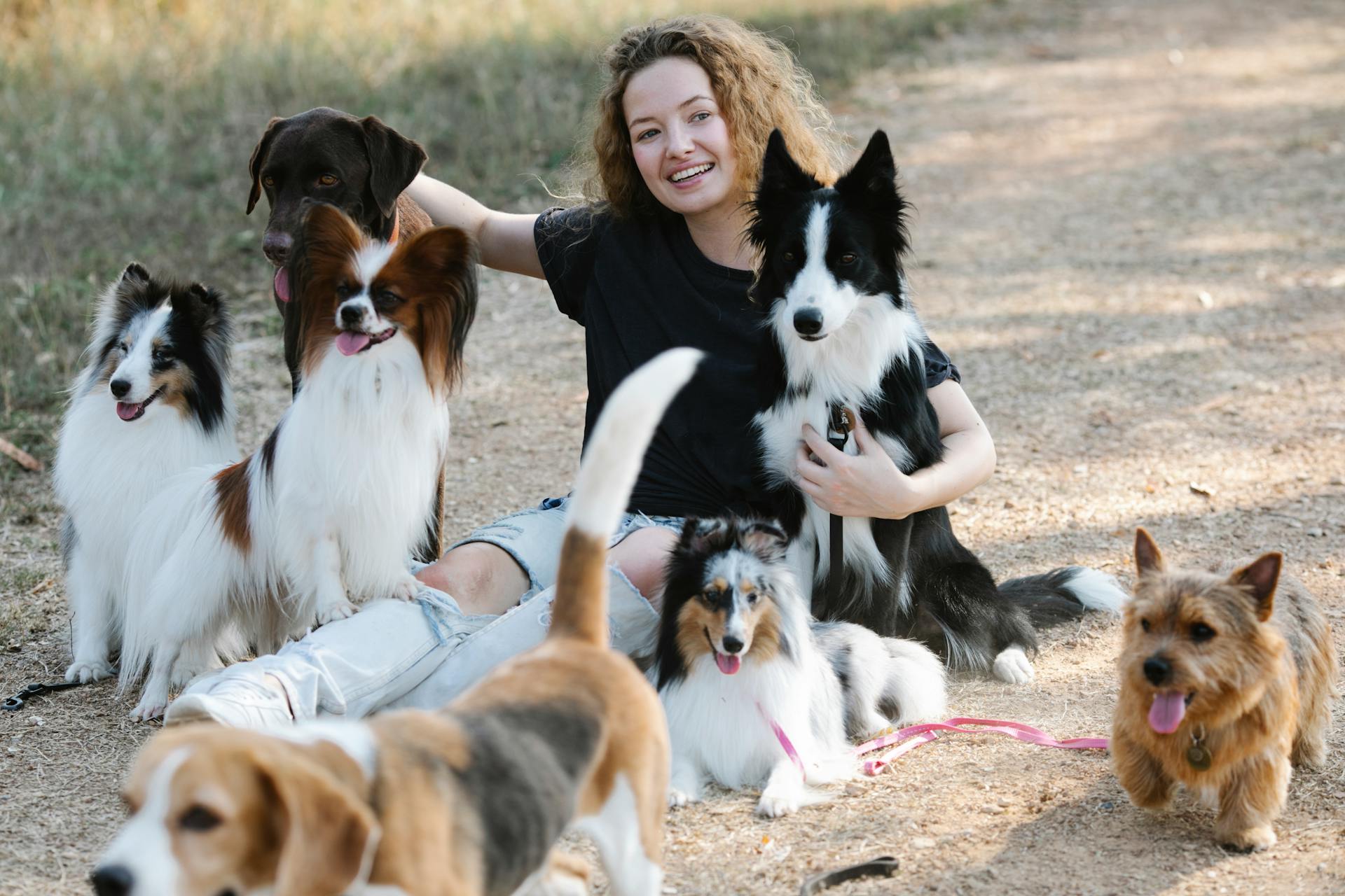 Positive young female in casual clothes hugging and caressing happy dogs while sitting on path and looking away in nature