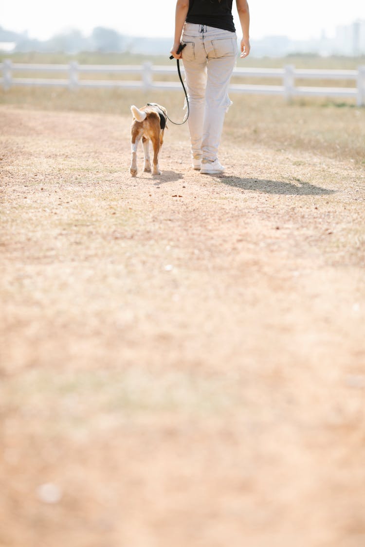 Crop Owner With Dog Walking On Path In Nature