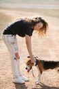 Side view of optimistic young female with curly hair caressing cute beagle dog with tongue out while standing on countryside road in summer