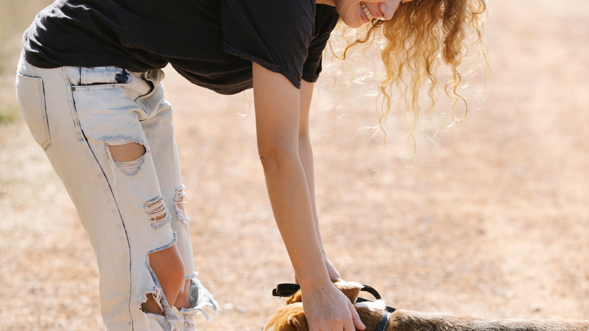 Professional dog trainer working in a training facility