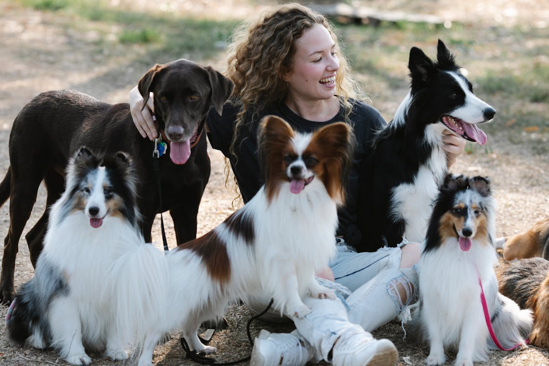 Cheerful female with obedient dogs relaxing in countryside · Free Stock ...