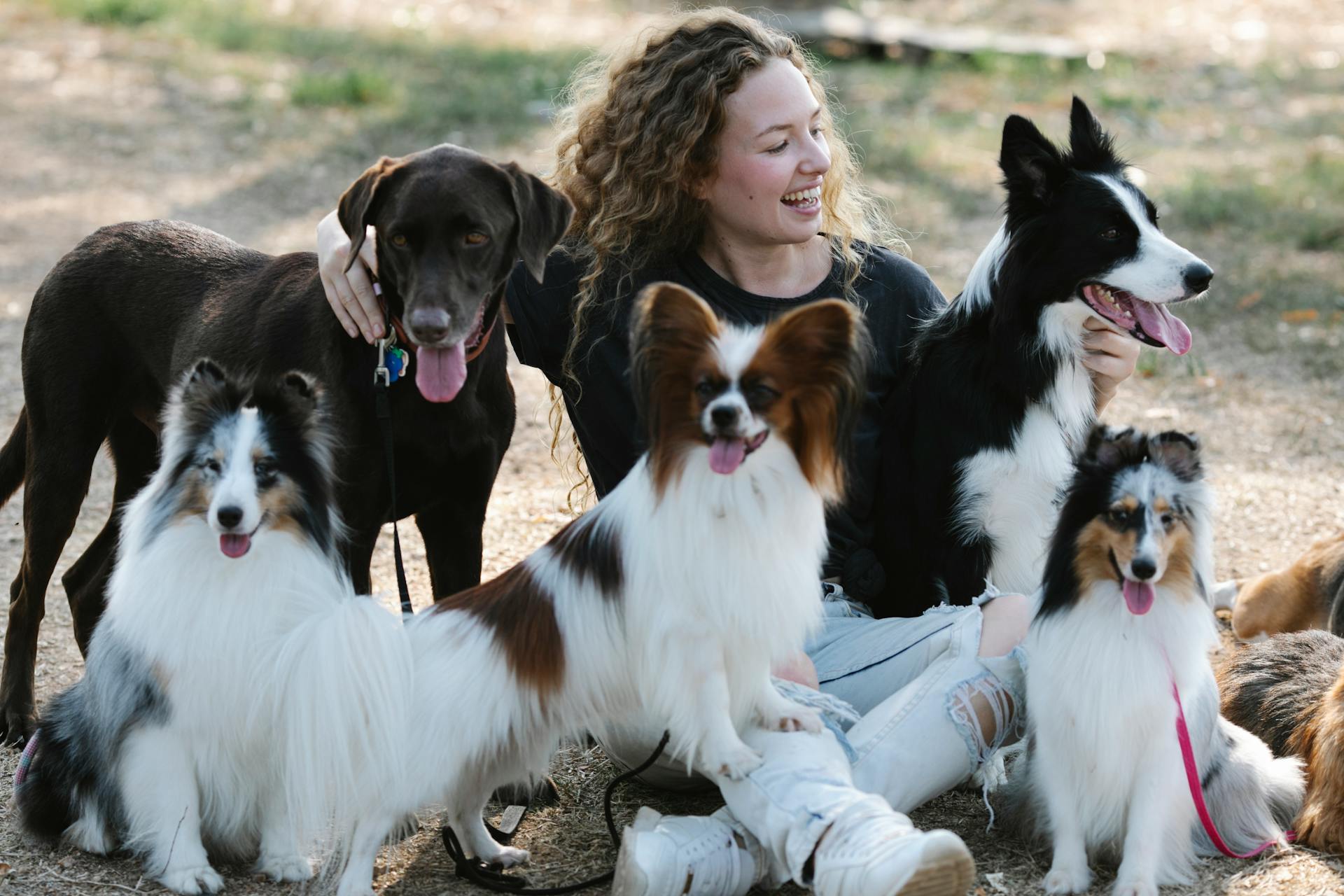 Cheerful female with obedient dogs relaxing in countryside