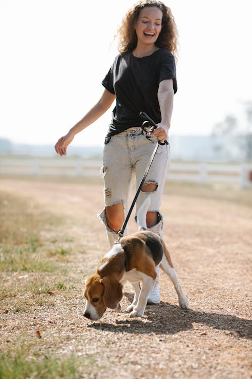 Full body delighted young female with curly hair laughing while strolling with Beagle dog smelling ground on countryside road