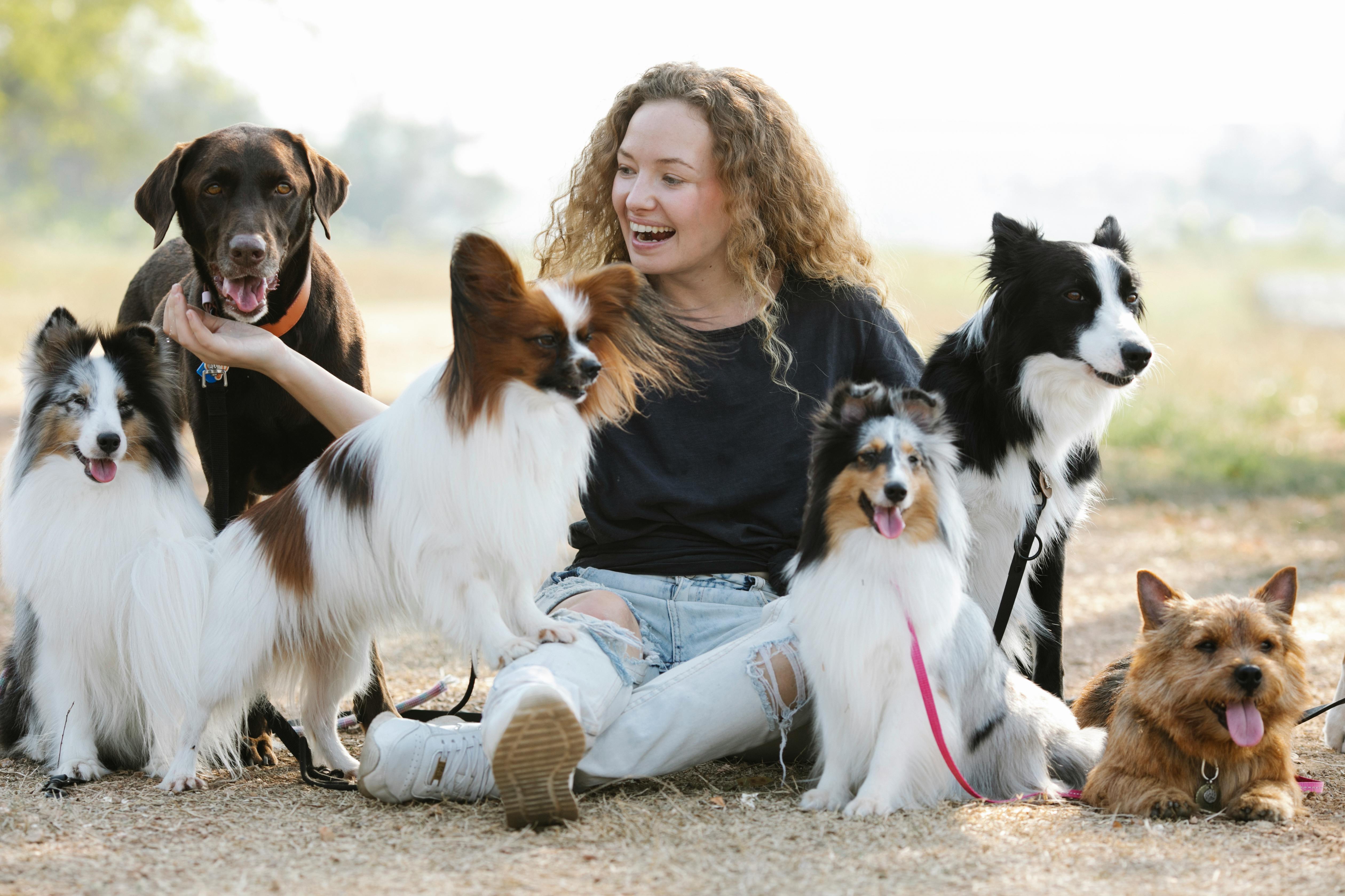 Delighted young female smiling and interacting with obedient dogs while sitting on ground on blurred background of countryside