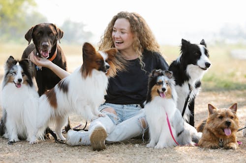 Gentle smiling woman embracing purebred dogs while sitting on ground ...