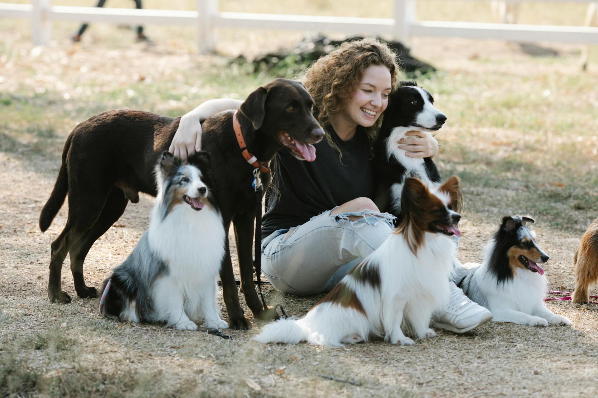 Young female hugging dogs near farm field