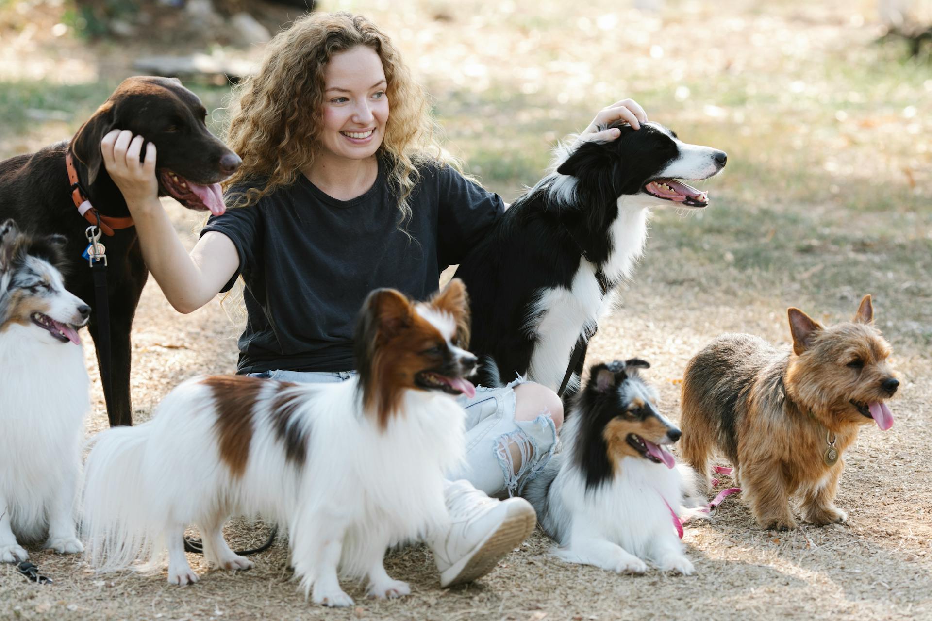 Glad young female with curly hair scratching happy dogs and looking away with smile while sitting on ground on sunny summer day in nature