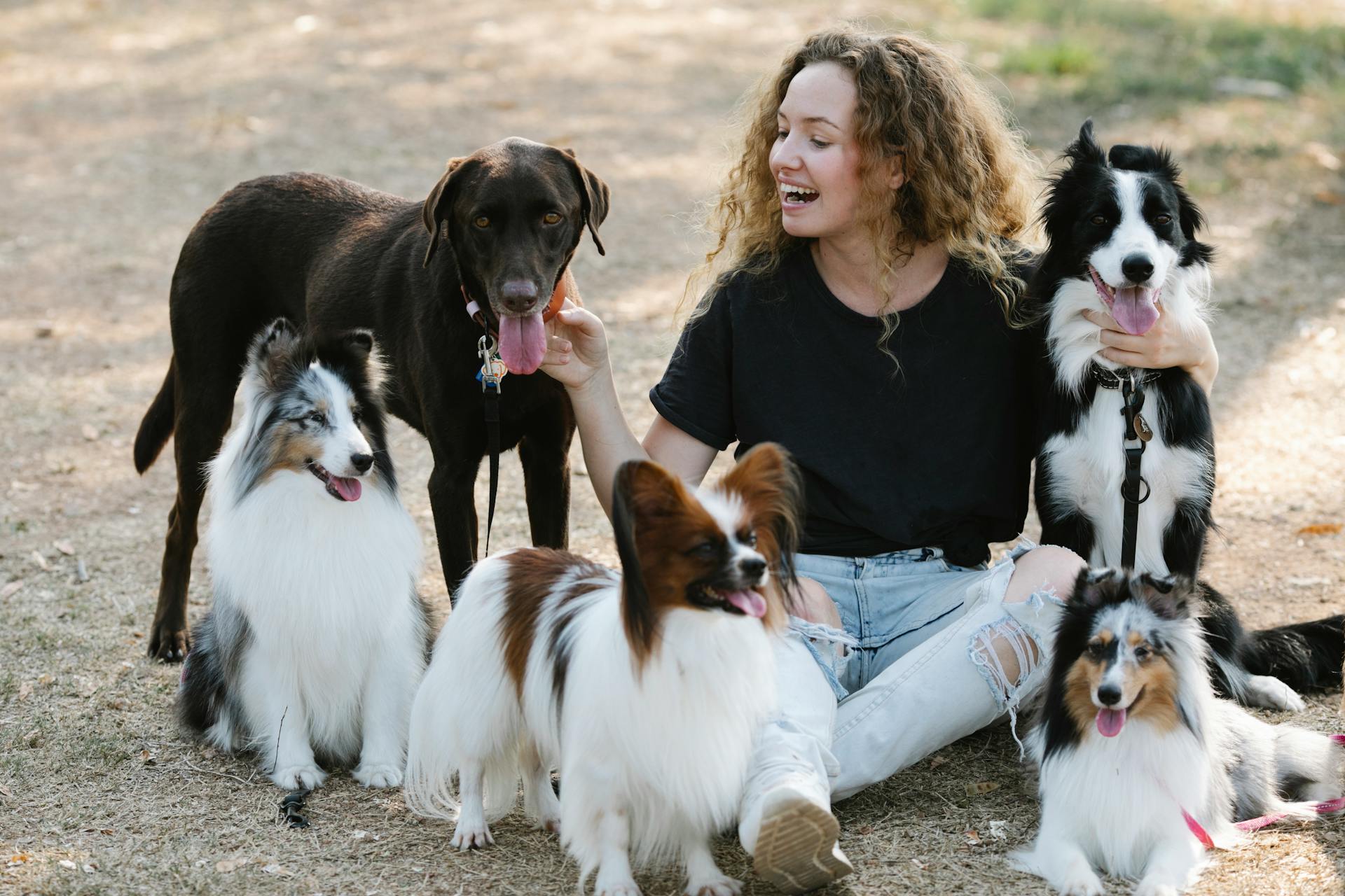 Glad young female with curly hair smiling and petting adorable dogs with tongue out while resting on countryside road together