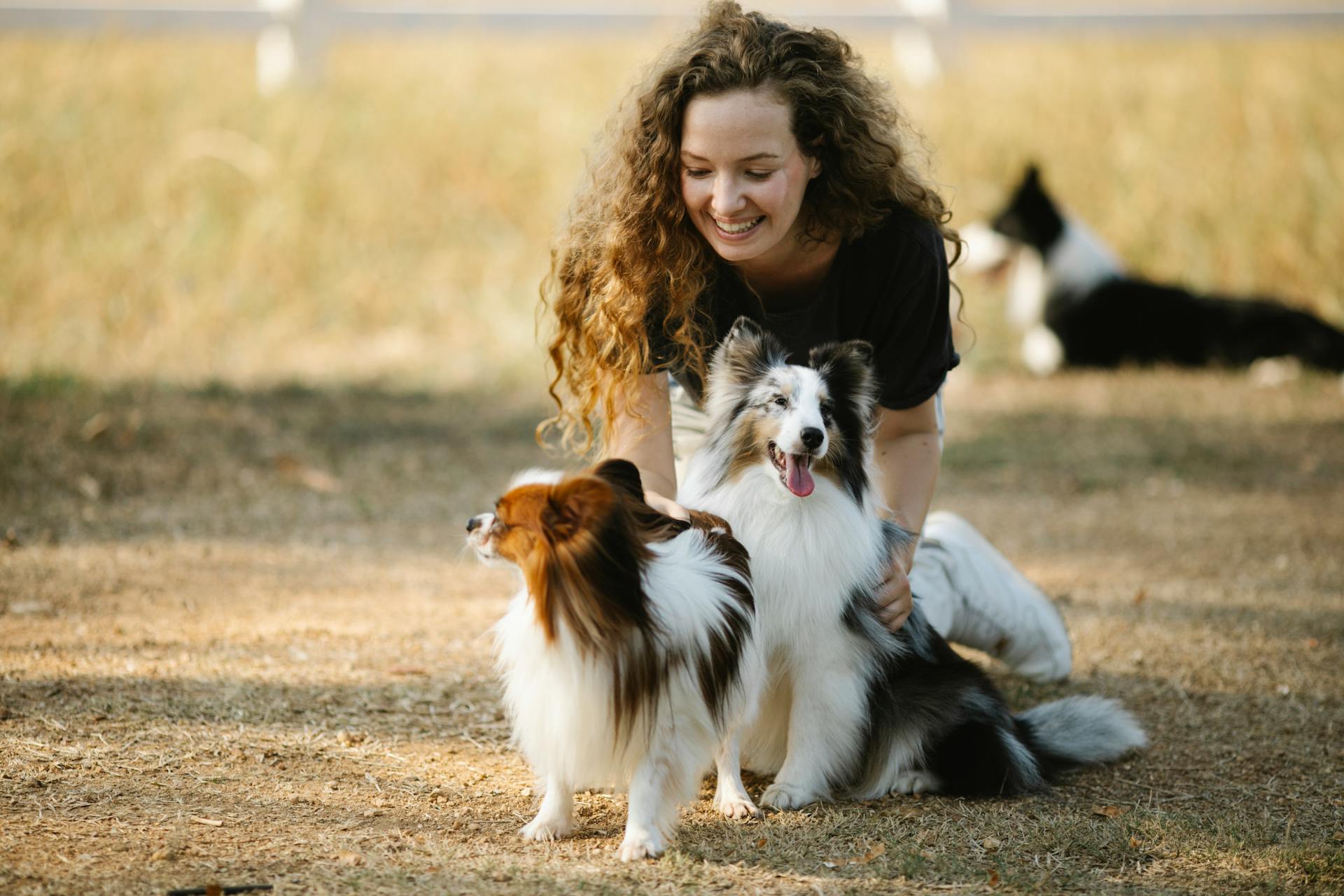 Happy Woman Playing with Beautiful Dogs Outdoors