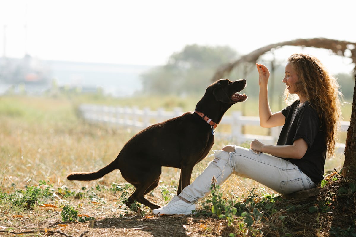Persona seduta all'aperto che offre un premio a un cane attento