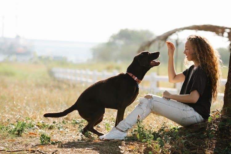 Woman Sitting Outdoors And Giving A Treat To A Dog 