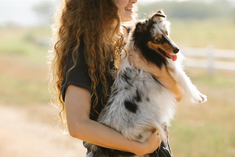 Close-up Of Woman Holding Dog In Hands