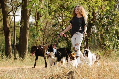 Dog walker smiling while walking multiple dogs on leashes on a sunny street