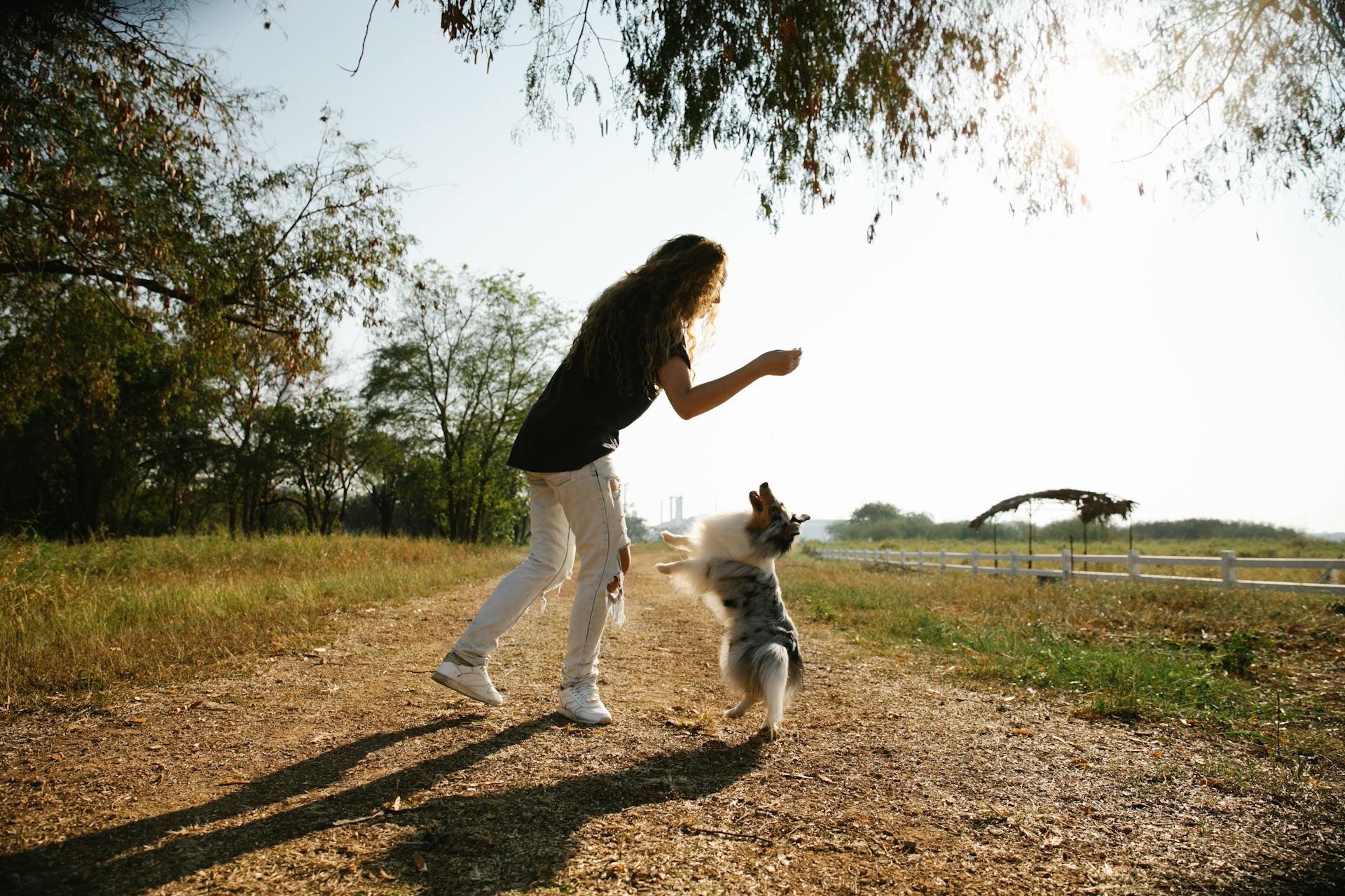 Flicka leker med hund utomhus