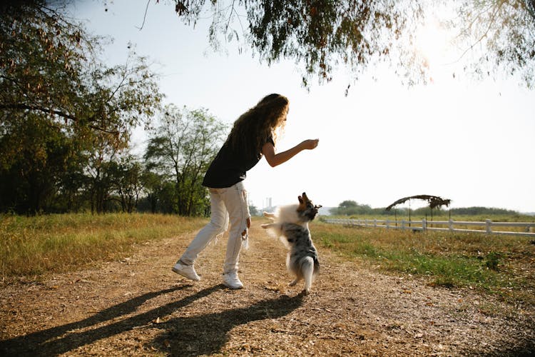 Girl Playing With Dog Outdoors