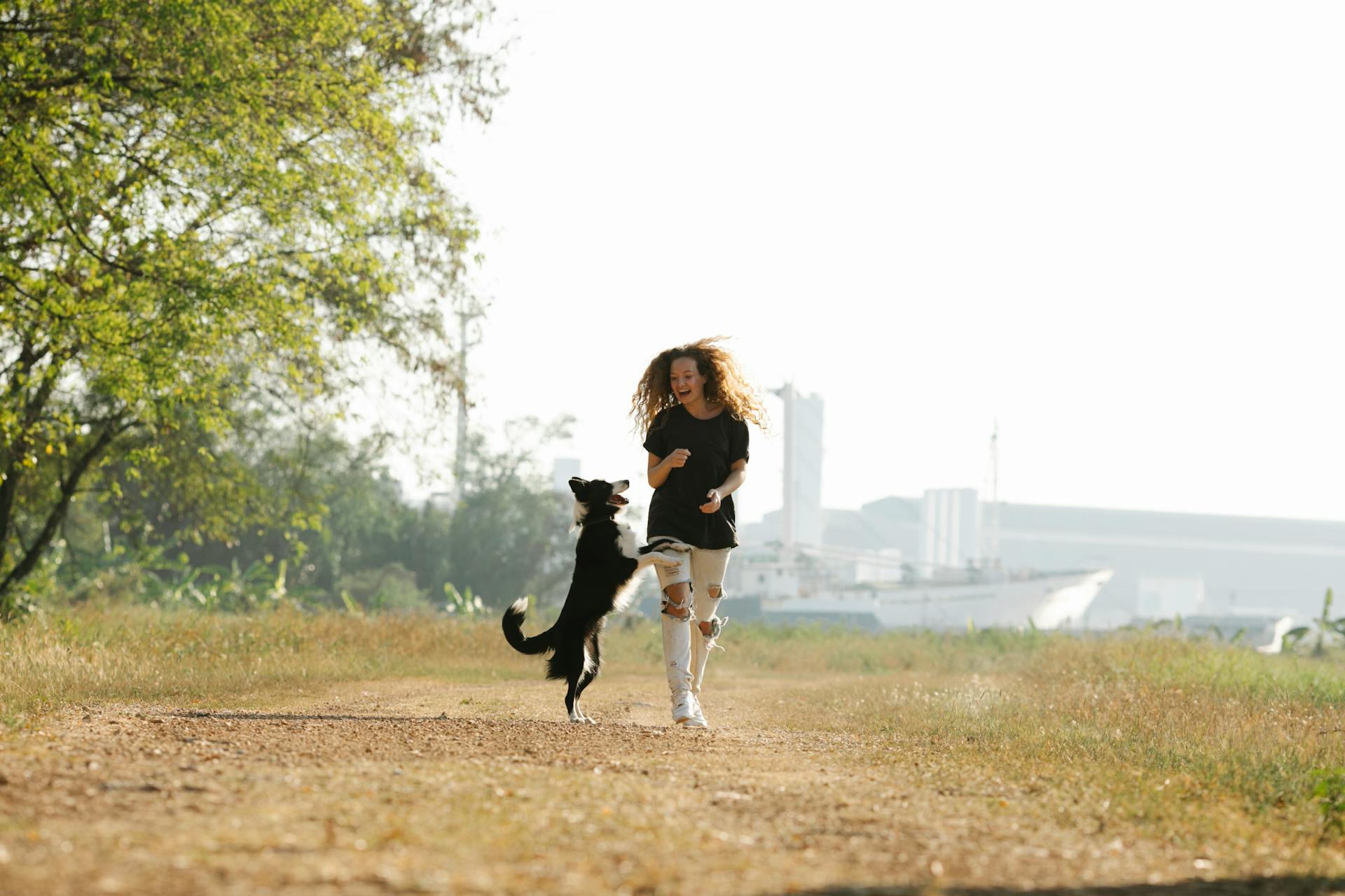 Cheerful female having fun with purebred dog standing on hind legs while looking at each other on pathway against port