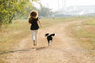 Unrecognizable sportswoman running with Border Collie on path in park