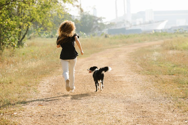 Unrecognizable Sportswoman Running With Border Collie On Path In Park