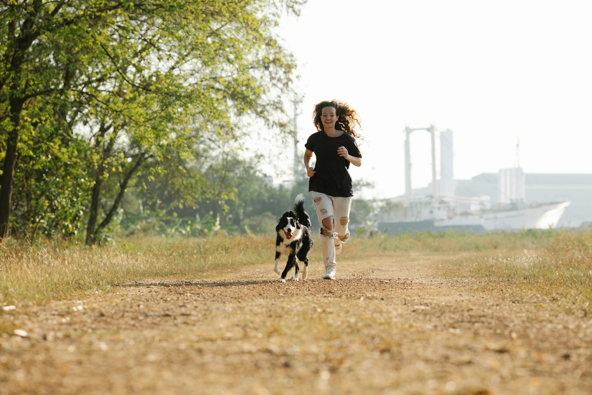 Full body happy young female in casual shirt and ripped jeans running with cute black Border Collie dog along footpath in summer nature