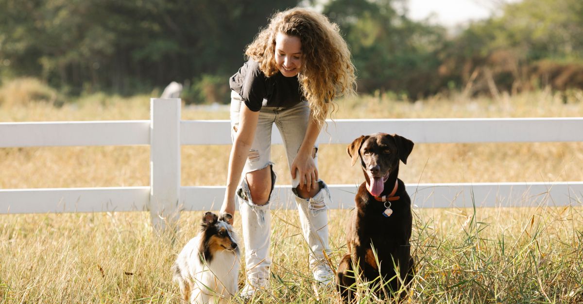 5 Common Mistakes Dog Owners Make When Traveling Without Their Pet