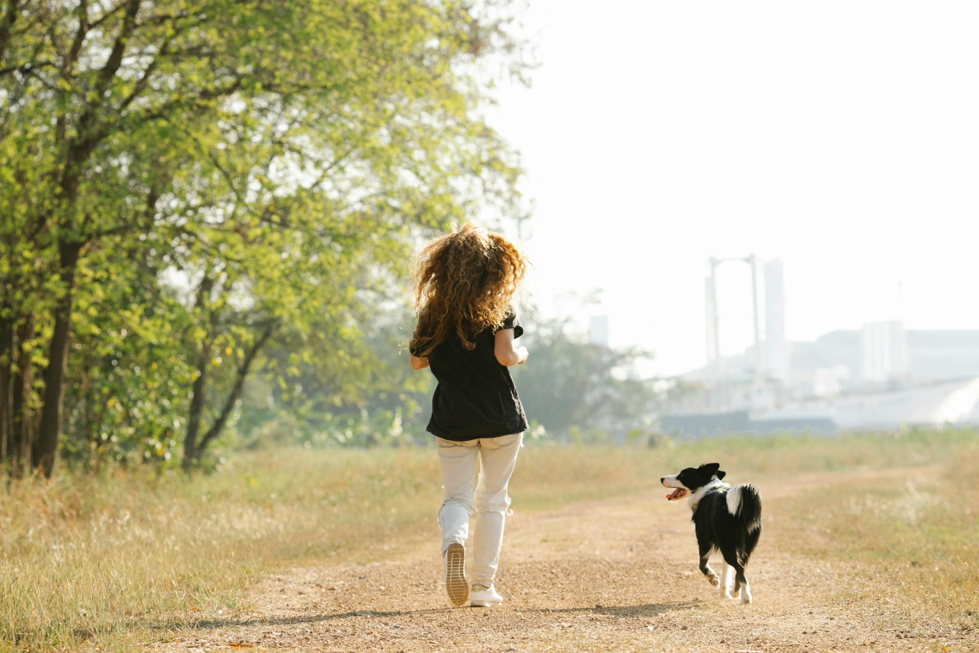 Full body unrecognizable female in casual clothes running with adorable black Border Collie dog along footpath in sunny summer countryside