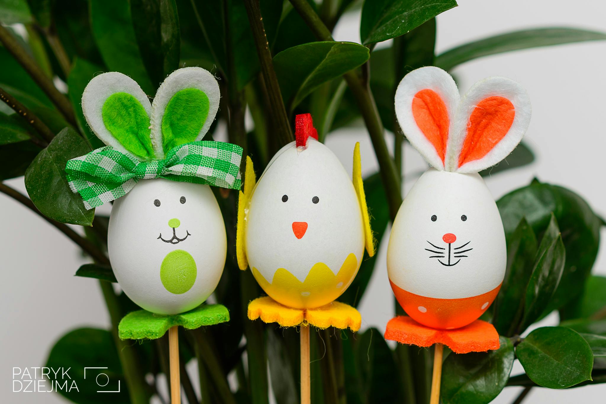 Free stock photo of bunny, chicken, easter