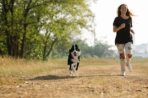 Full length cheerful young female in casual clothes running near adorable Border Collie along pathway in sunny countryside