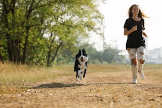 Full length cheerful young female in casual clothes running near adorable Border Collie along pathway in sunny countryside