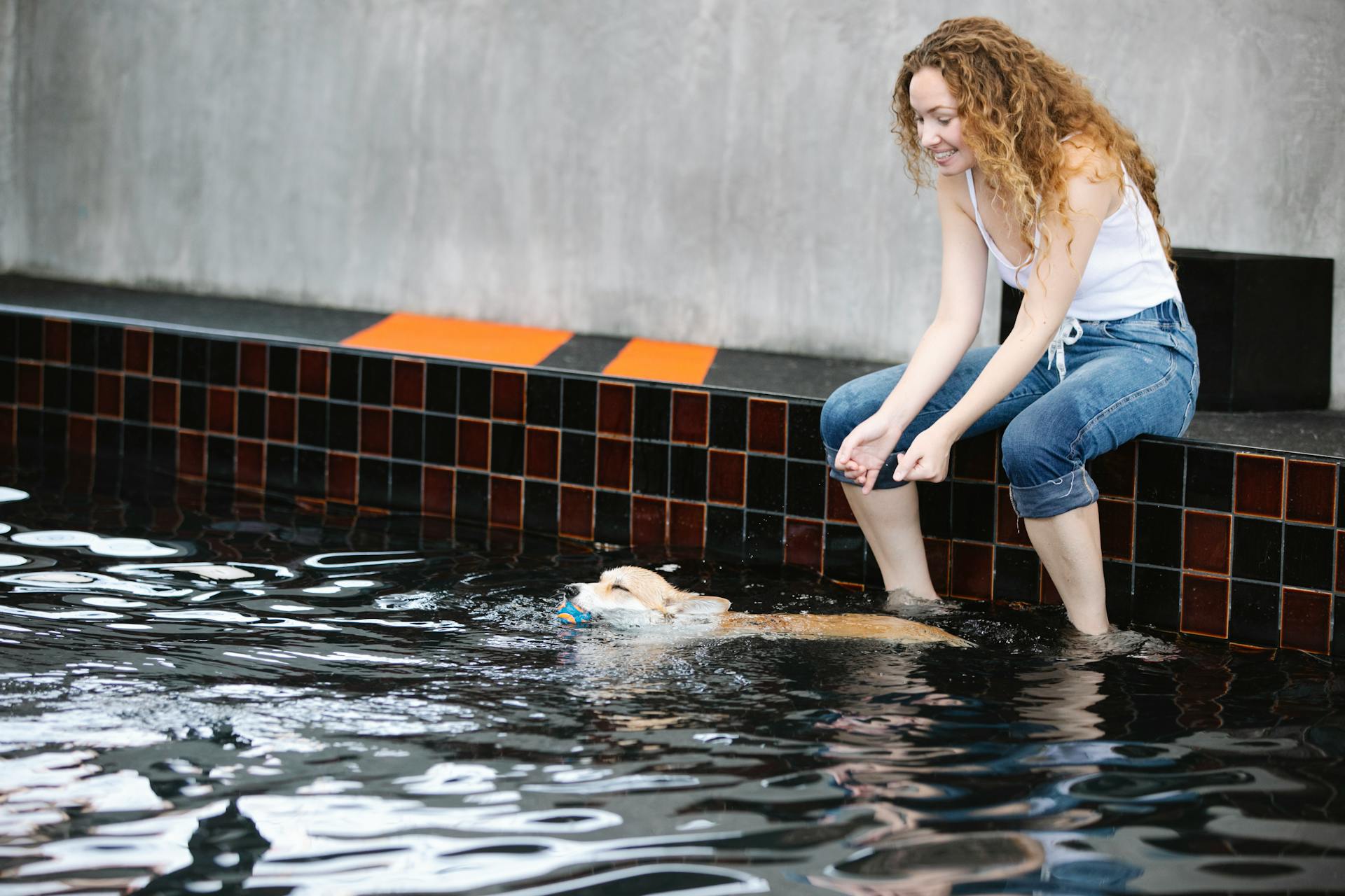 Content female taming intelligent purebred dog with ball in mouth swimming in rippled water against tiled wall