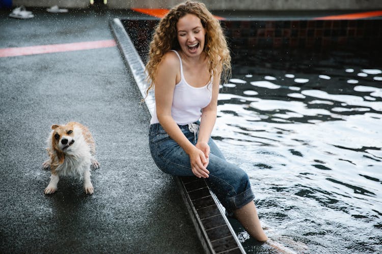 Happy Owner On Poolside With Welsh Corgi Shaking Off Water