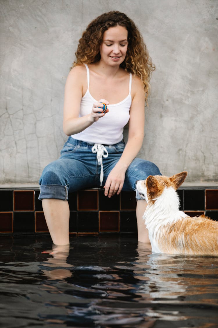 Woman With Ball Taming Welsh Corgi In Pool