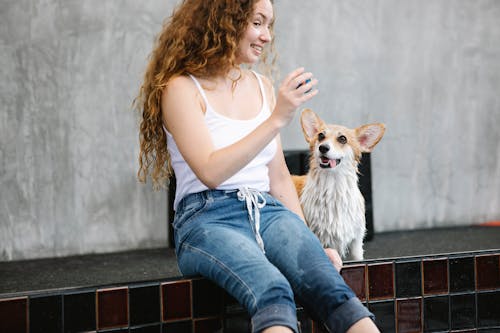 Crop owner interacting with Welsh Corgi on poolside