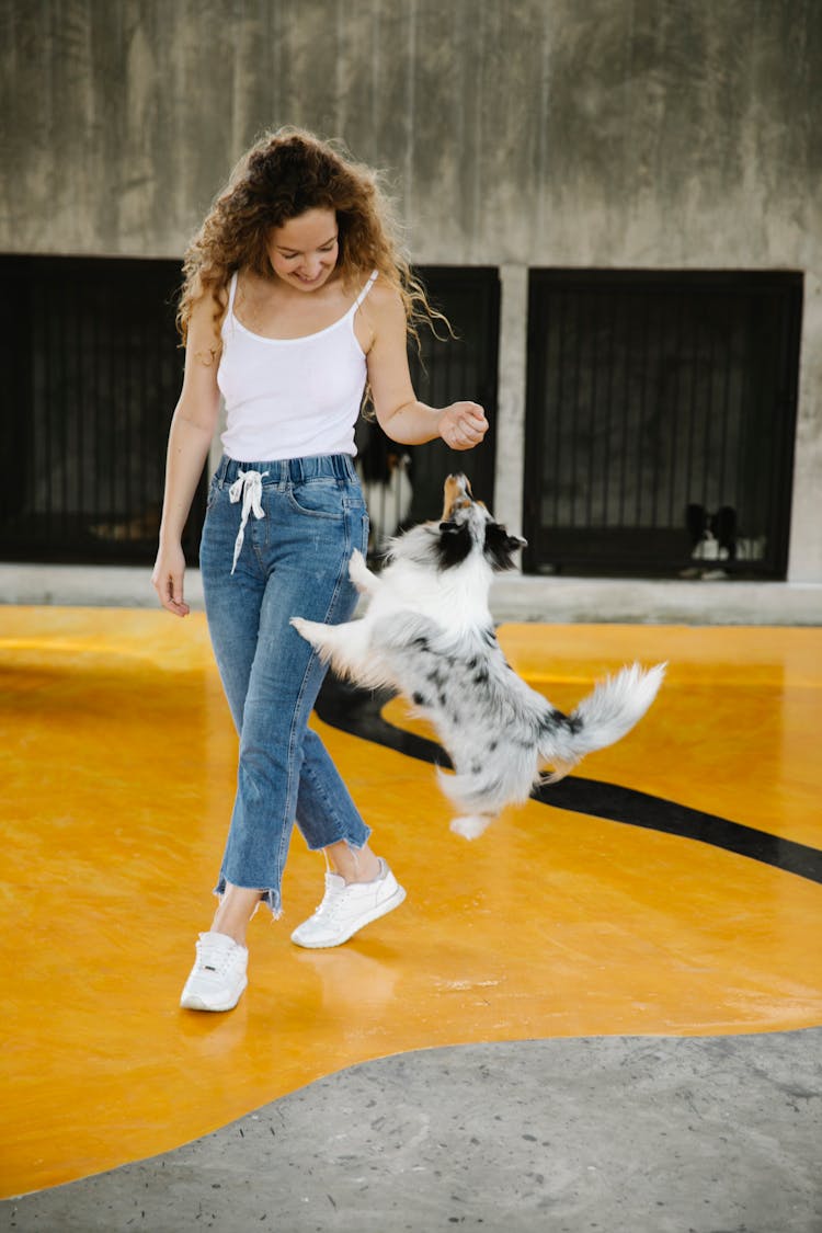 Smiling Owner Taming Collie Jumping Over Floor