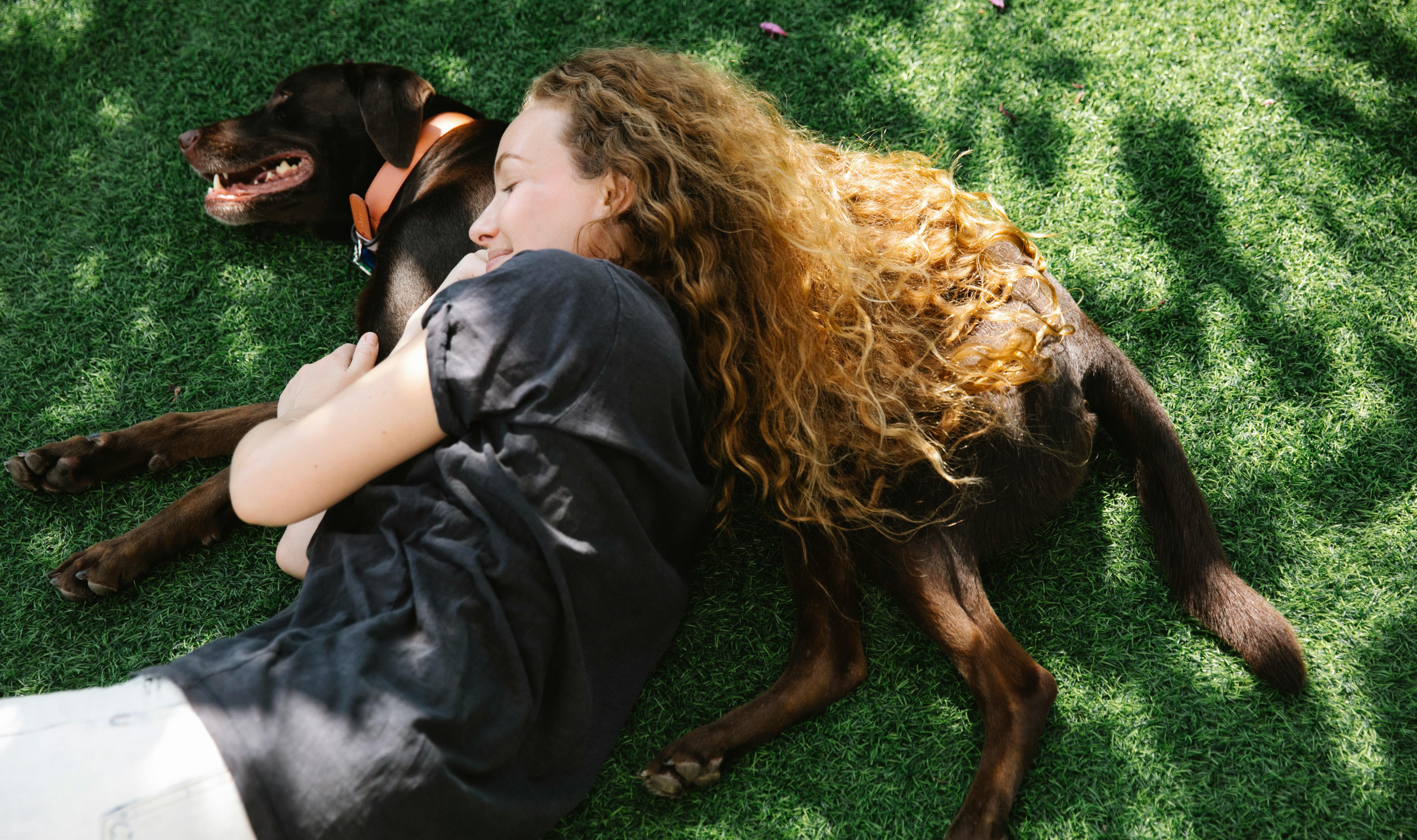 Dreamy woman embracing Labrador Retriever on lawn · Free Stock Photo