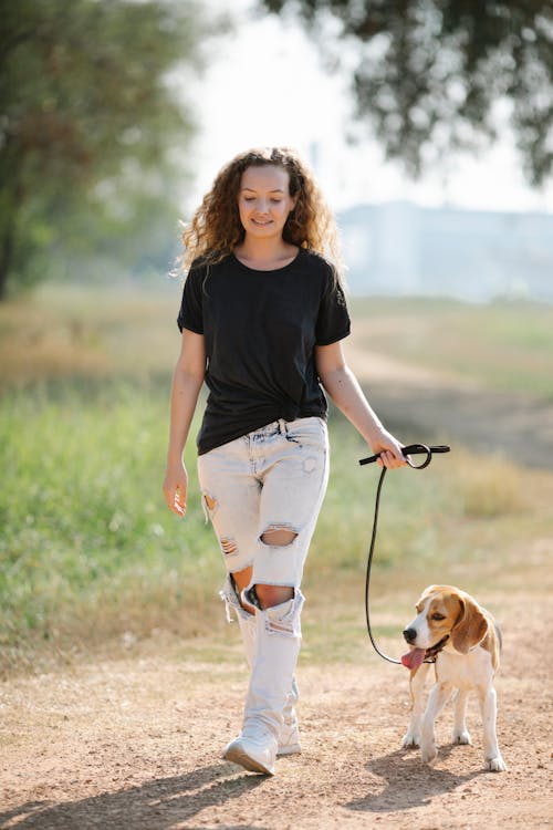 Free Full body of positive female owner walking with Beagle with tongue out on path in countryside Stock Photo