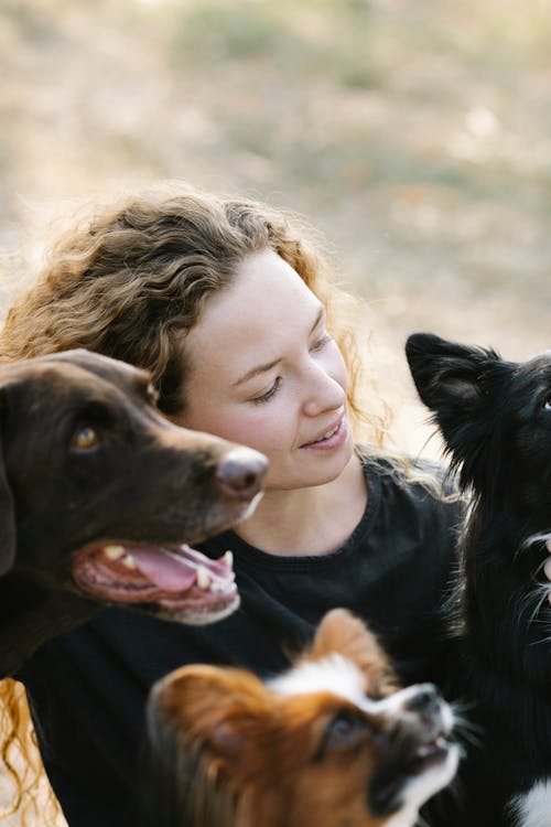 Content woman with dogs in countryside