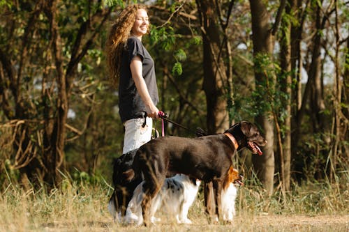 Delighted female owner with group of dogs standing on rural path near green trees in rural area on summer day