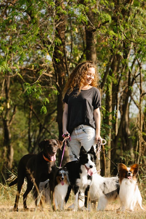 Cheerful woman with group of dogs
