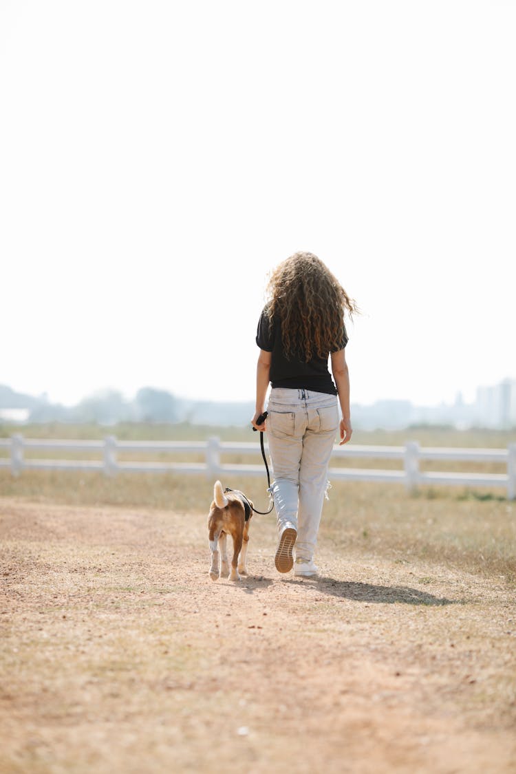 Anonymous Woman Walking With Dog In Countryside