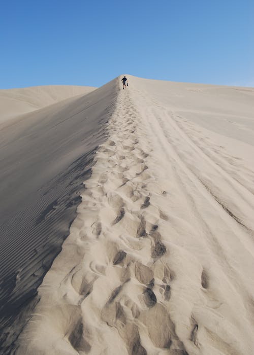 A Person Walking in a Desert