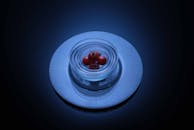 玻璃碗里的樱桃番茄通过蓝光构图，展现出独特的艺术创意