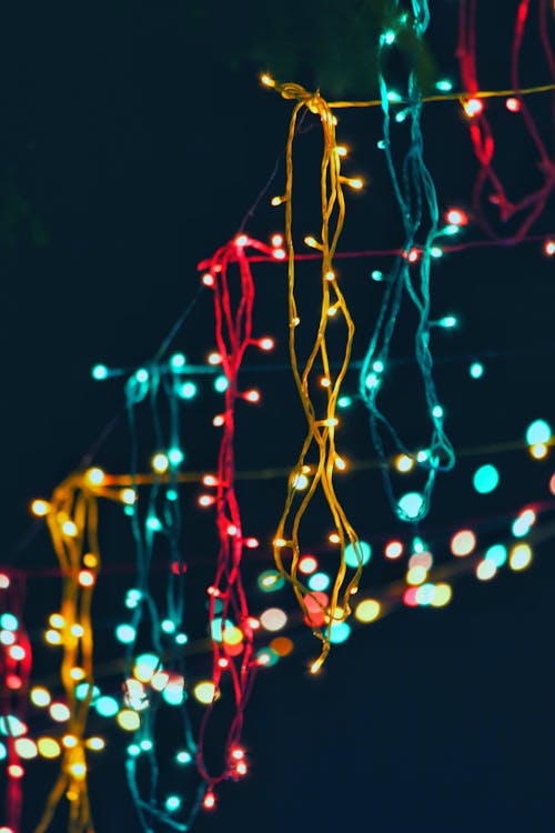 Free Assorted Lighted String Lights Stock Photo