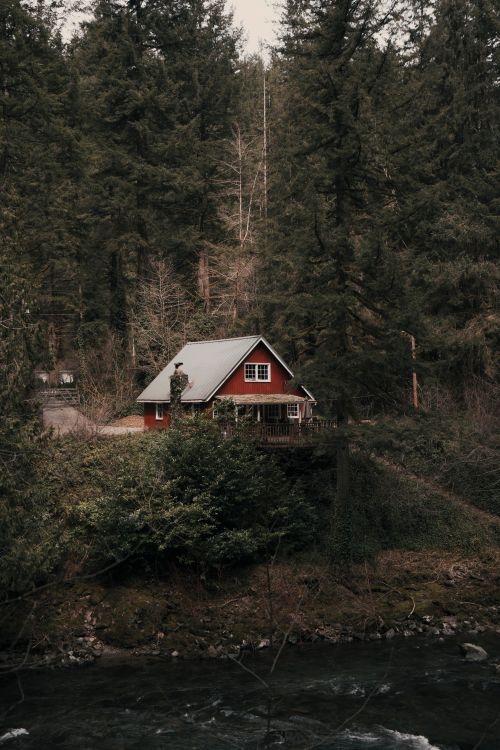 Free Charming red cabin nestled in a lush Oregon forest by a tranquil river, perfect for nature retreats. Stock Photo