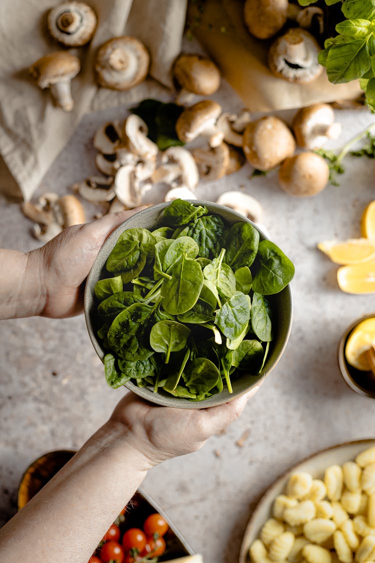 Hands Holding Plate Full Of Fresh Salad