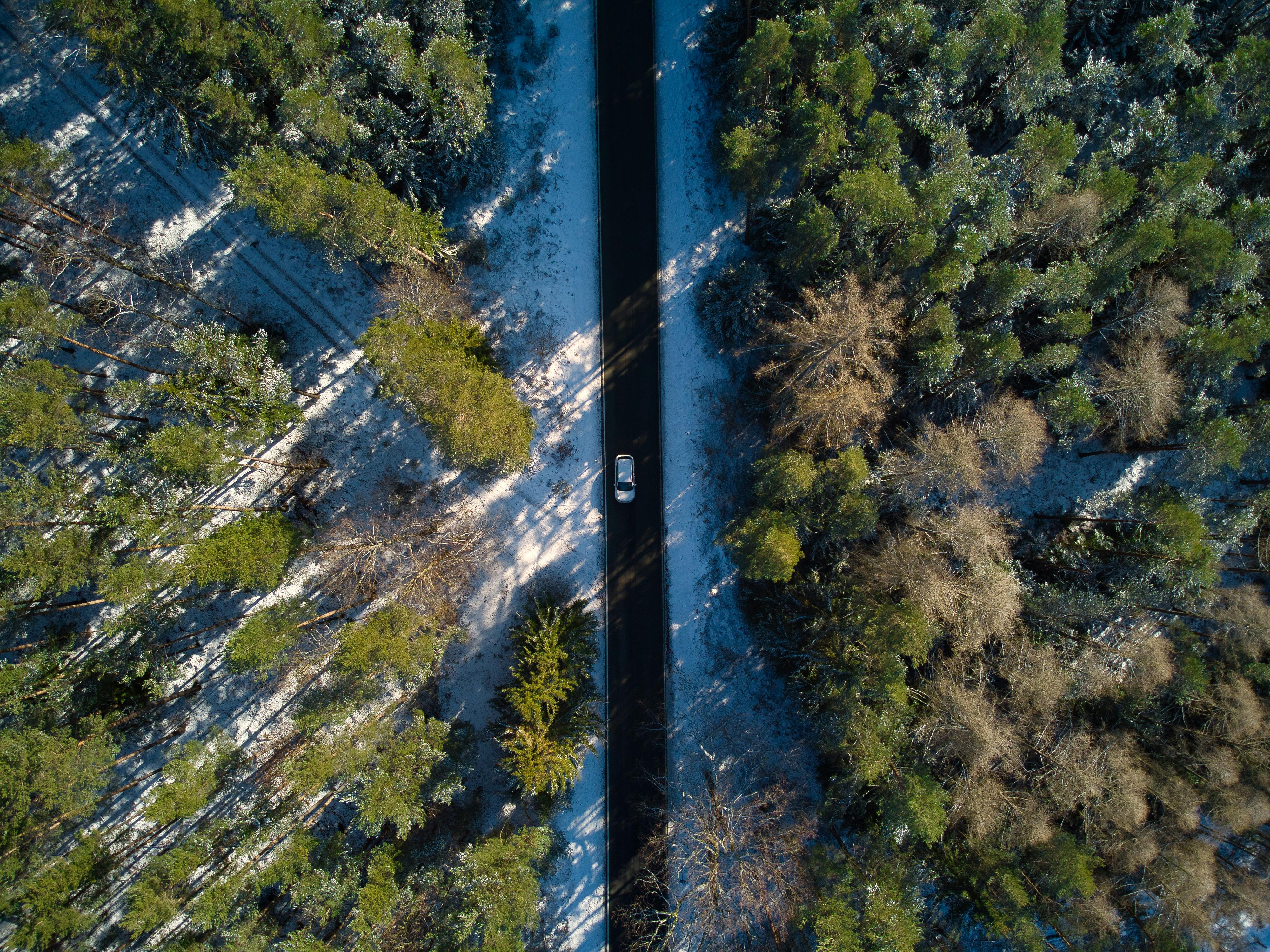 evs explained sustainability — Photo by Justin Wolfert on Pexels
