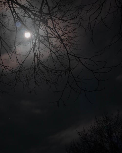Fotobanka s bezplatnými fotkami na tému fotografovanie mesiaca, nočná fotografia