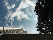 低角度视角下，建筑物、云层和树木映衬在戏剧性的天空中